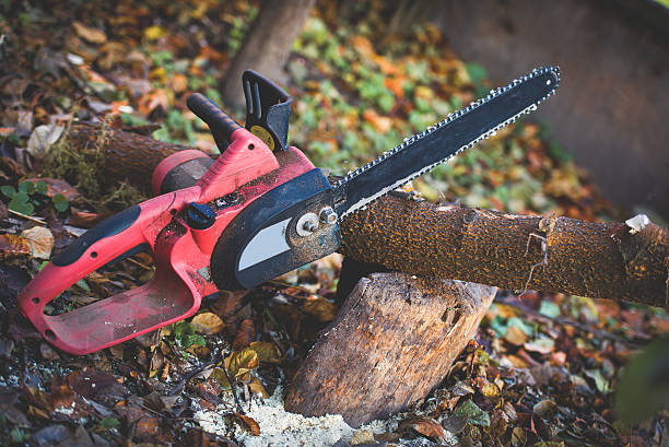 New Union, TN Tree Care Company